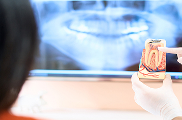 正確な診断/質の高い専用設備